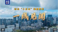 宋非物质文化遗产也好